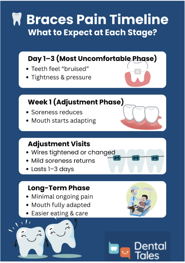 Braces Pain Timeline Braces Pain Timeline